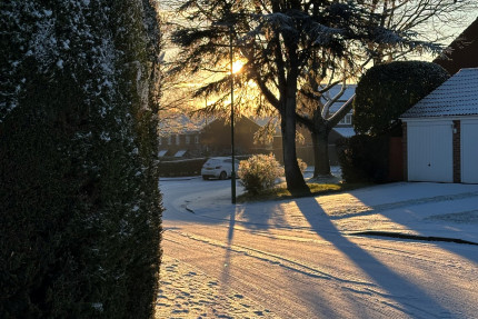 January 2026 News Round up