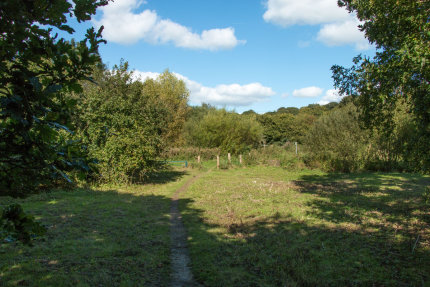 Henfield Habitat Surveys